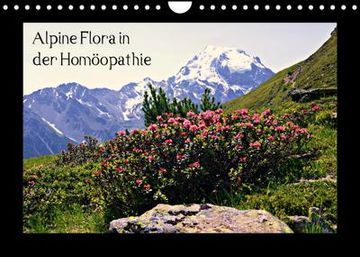 portada Alpine Flora in der Homöopathie (Wandkalender 2023 din a4 Quer) (en Alemán)