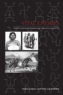 portada Vital Enemies: Slavery, Predation, and the Amerindian Political Economy of Life (en Inglés)