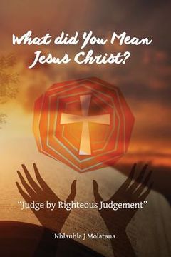 portada What Did You Mean Jesus Christ?: Judge by Righteous Judgement (en Inglés)