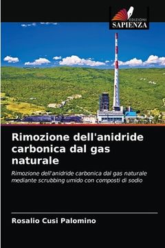portada Rimozione dell'anidride carbonica dal gas naturale