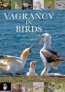 portada Vagrancy in Birds (in English)