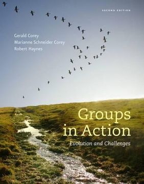 portada groups in action: evolution and challenges [with dvd]