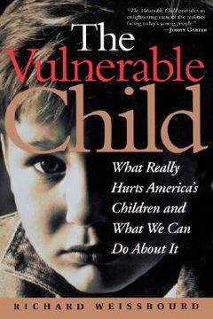 portada the vulnerable child: what really hurts america's children and what we can do about it (en Inglés)