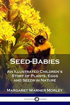 portada Seed-Babies: An Illustrated Children's Story of Plants, Eggs and Seeds in Nature (en Inglés)