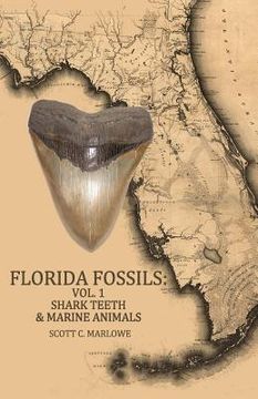 portada Florida Fossils: Shark Teeth & Marine Animals (in English)