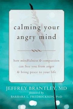 portada calming your angry mind: how mindfulness and compassion can help you to overcome anger and promote happiness, ease, and peace in your life