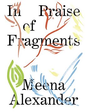 portada In Praise of Fragments (en Inglés)