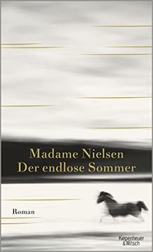 portada Der Endlose Sommer: Roman (en Alemán)