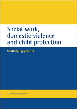 portada social work domestic violence and child protection: challenging practice (en Inglés)