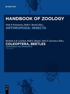 Morphology and Systematics (Elateroidea, Bostrichiformia, Cucujiformia Partim) (en Inglés)