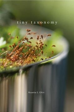 portada Tiny Taxonomy: Individual Plants in Landscape Architecture 