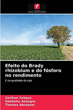 portada Efeito do Brady Rhizobium e do Fósforo no Rendimento: E na Qualidade da Soja (in Portuguese)