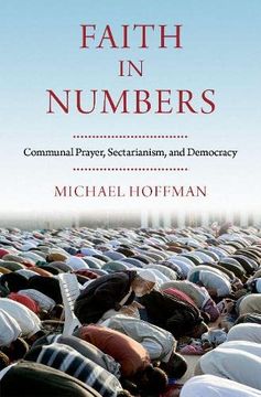portada Faith in Numbers: Religion, Sectarianism, and Democracy (en Inglés)