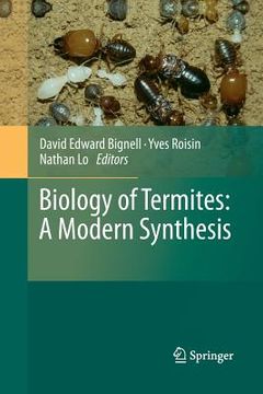 portada Biology of Termites: A Modern Synthesis (en Inglés)