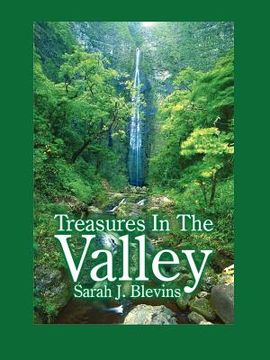 portada treasures in the valley (in English)