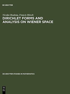 portada Dirichlet Forms and Analysis on Wiener Space (en Inglés)