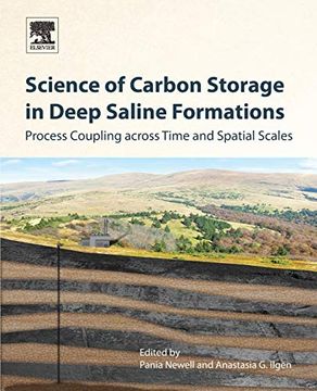 portada Science of Carbon Storage in Deep Saline Formations: Process Coupling Across Time and Spatial Scales 