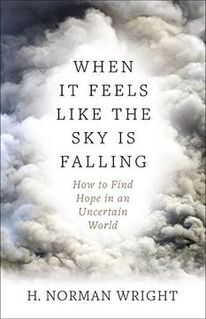 portada When it Feels Like the sky is Falling: How to Find Hope in an Uncertain World (en Inglés)