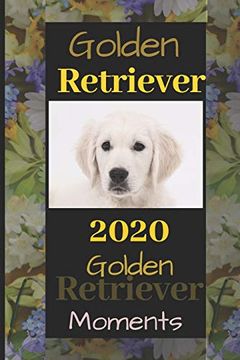 portada Golden Retriever: 2020 Golden Retriever Moments (in English)
