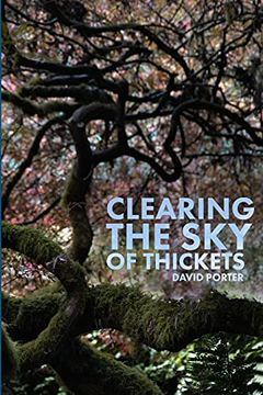 portada Clearing the sky of Thickets (in English)