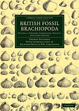 portada British Fossil Brachiopoda 6 Volume Set: British Fossil Brachiopoda: Volume 1, Tertiary, Cretaceous, Oolitic, and Liasic Species Paperback (Cambridge Library Collection - Earth Science) (en Inglés)