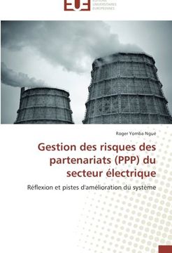 portada Gestion des risques des partenariats (PPP) du secteur électrique: Réflexion et pistes d'amélioration du système
