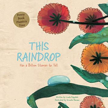 portada This Raindrop: Has a Billion Stories to Tell (en Inglés)