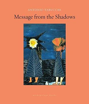 portada Message From the Shadows: Selected Stories (in English)