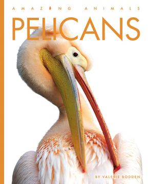 portada Pelicans (Amazing Animals) (in English)