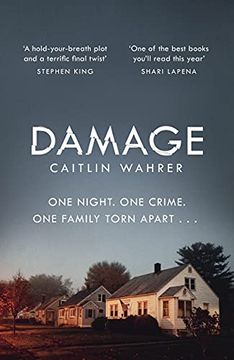 portada Damage: An Unputdownable and Emotionally Gripping Debut With a Twist you Won’T see Coming (en Inglés)