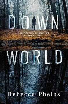 portada Down World (a Wattpad Novel) (in English)