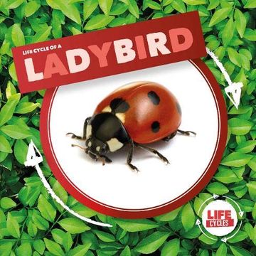 portada Ladybird (Life Cycle of a) (en Inglés)