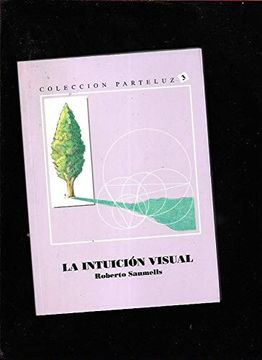 portada La IntuicióN Visual: Una TeoríA de la VisióN