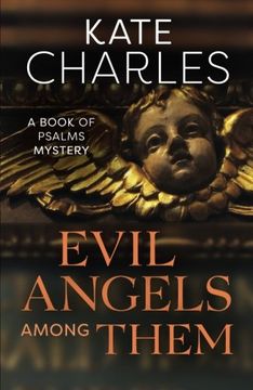 portada Evil Angels Among Them (Book of Psalms Mysteries) 