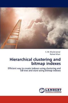 portada hierarchical clustering and bitmap indexes (en Inglés)