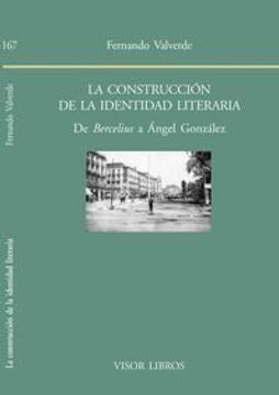 portada La Construcción De La Identidad Literaria: De Bercelius A Ángel González (biblioteca Filológica Hispana, Band 167)