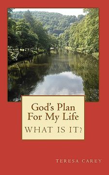 portada god's plan for my life - what is it? (in English)
