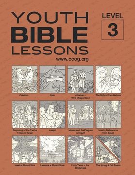portada Youth Bible Lessons Level 3 (en Inglés)