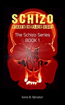 portada Schizo: Hidden in Plain Sight (The Schizo Series) (in English)
