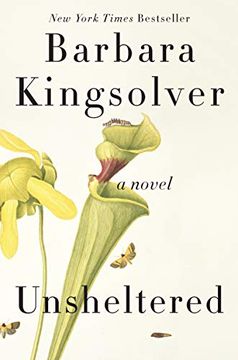 portada Unsheltered: A Novel (in English)