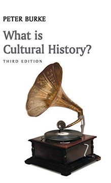 portada What is Cultural History? (What is History? ) (in English)