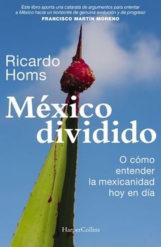 portada México Dividido