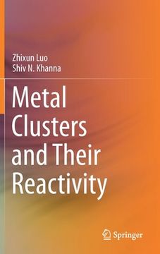 portada Metal Clusters and Their Reactivity (en Inglés)