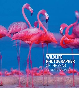 portada Wildlife Photographer of the Year: Highlights Volume 5 (en Inglés)