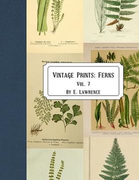 portada Vintage Prints: Ferns: Vol. 7 (in English)