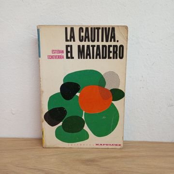 La cautiva, El matadero