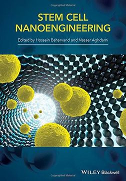 portada Stem-Cell Nanoengineering