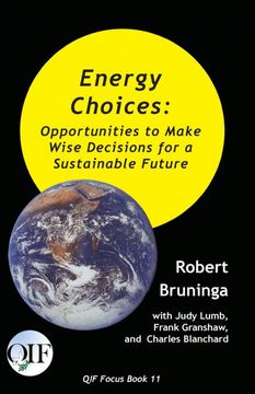 portada Energy Choices: Opportunities to Make Wise Decisions for a Sustainable Future (11) (Qif Focus Books) (en Inglés)