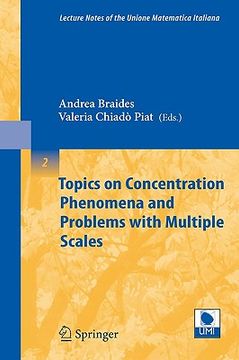 portada topics on concentration phenomena and problems with multiple scales (en Inglés)