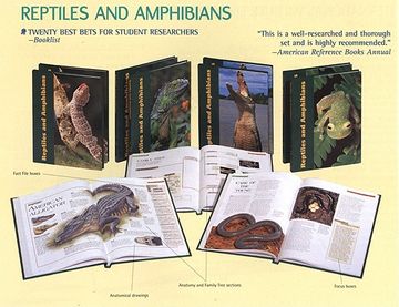 portada reptiles and amphibians